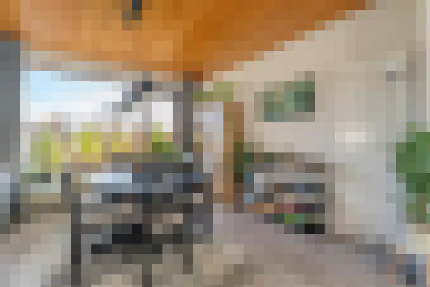 Carboonlaan 37 Nieuw-Schoonebeek thumbnail 16
