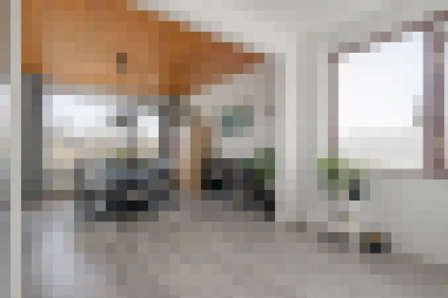 Carboonlaan 37 Nieuw-Schoonebeek thumbnail 19