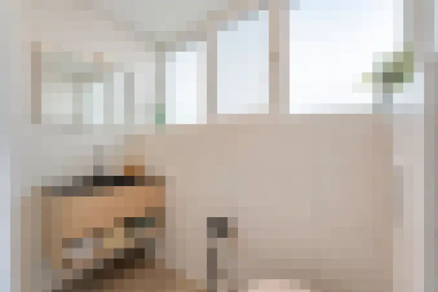 Carboonlaan 37 Nieuw-Schoonebeek thumbnail 34