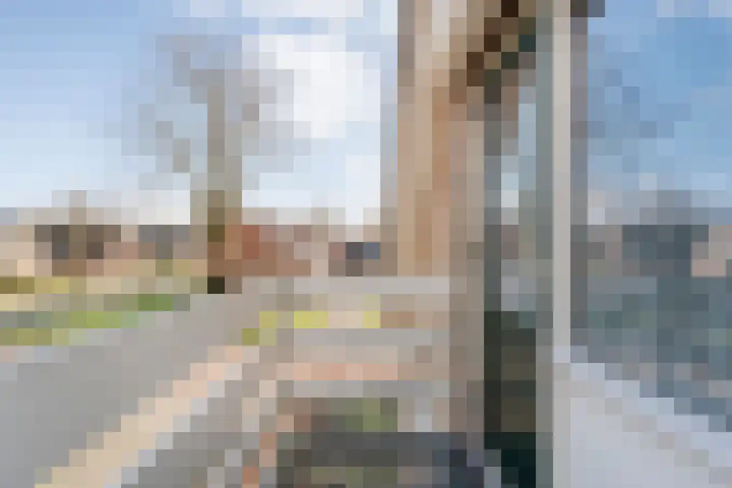 Carboonlaan 37 Nieuw-Schoonebeek thumbnail 45