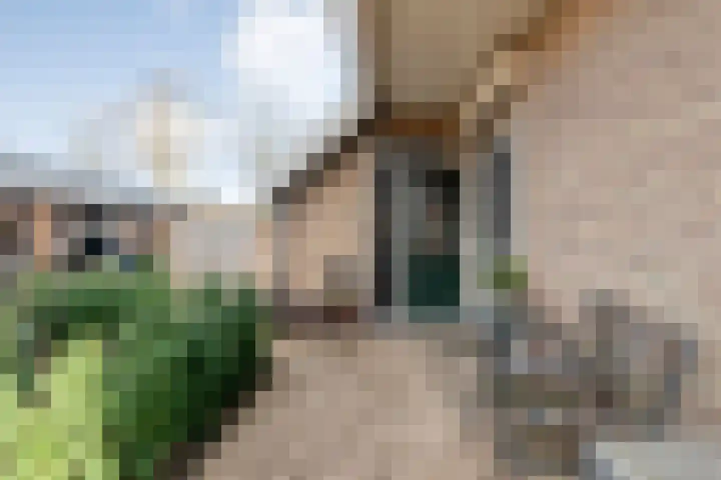 Carboonlaan 37 Nieuw-Schoonebeek thumbnail 48