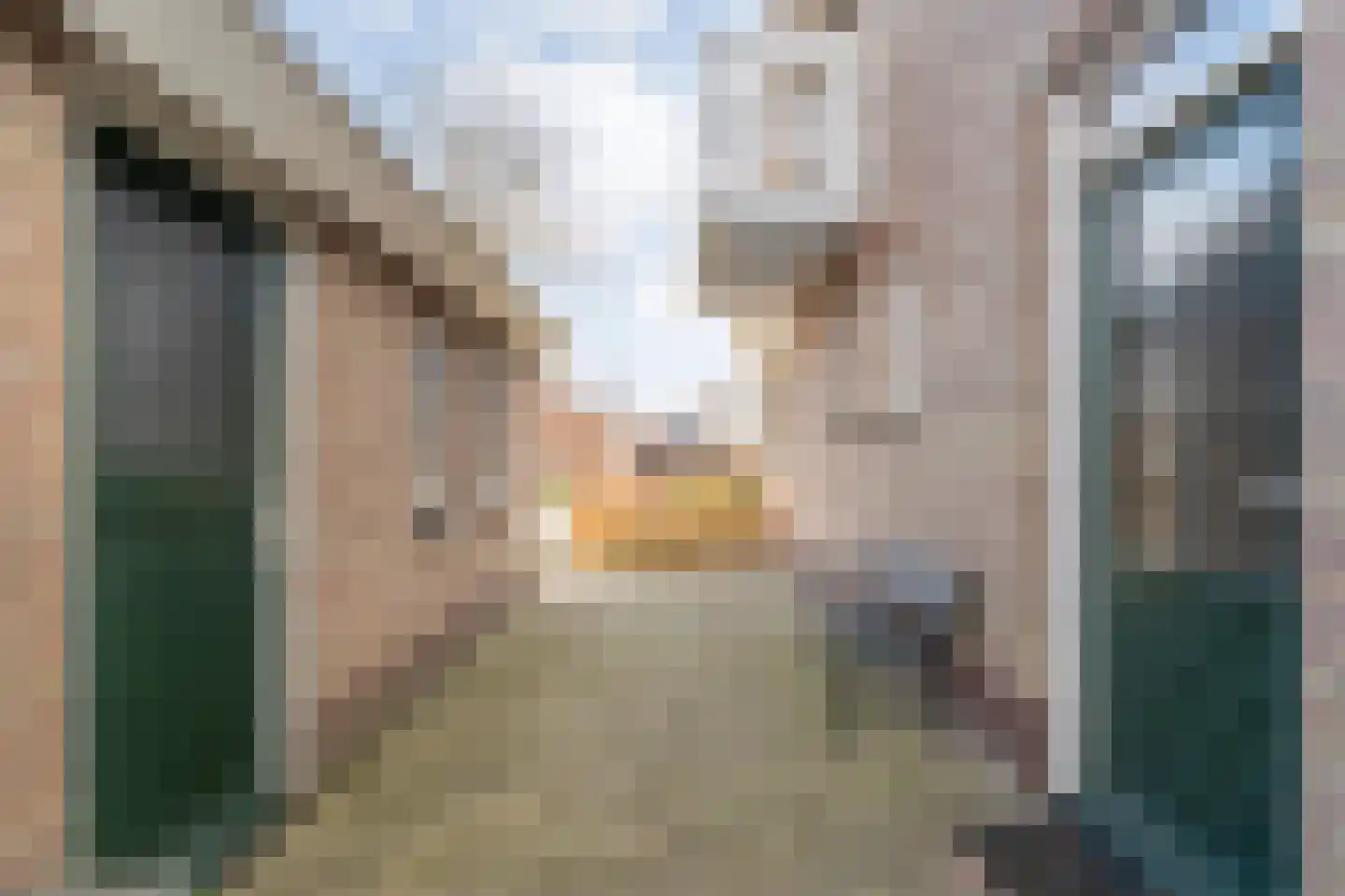 Carboonlaan 37 Nieuw-Schoonebeek thumbnail 53