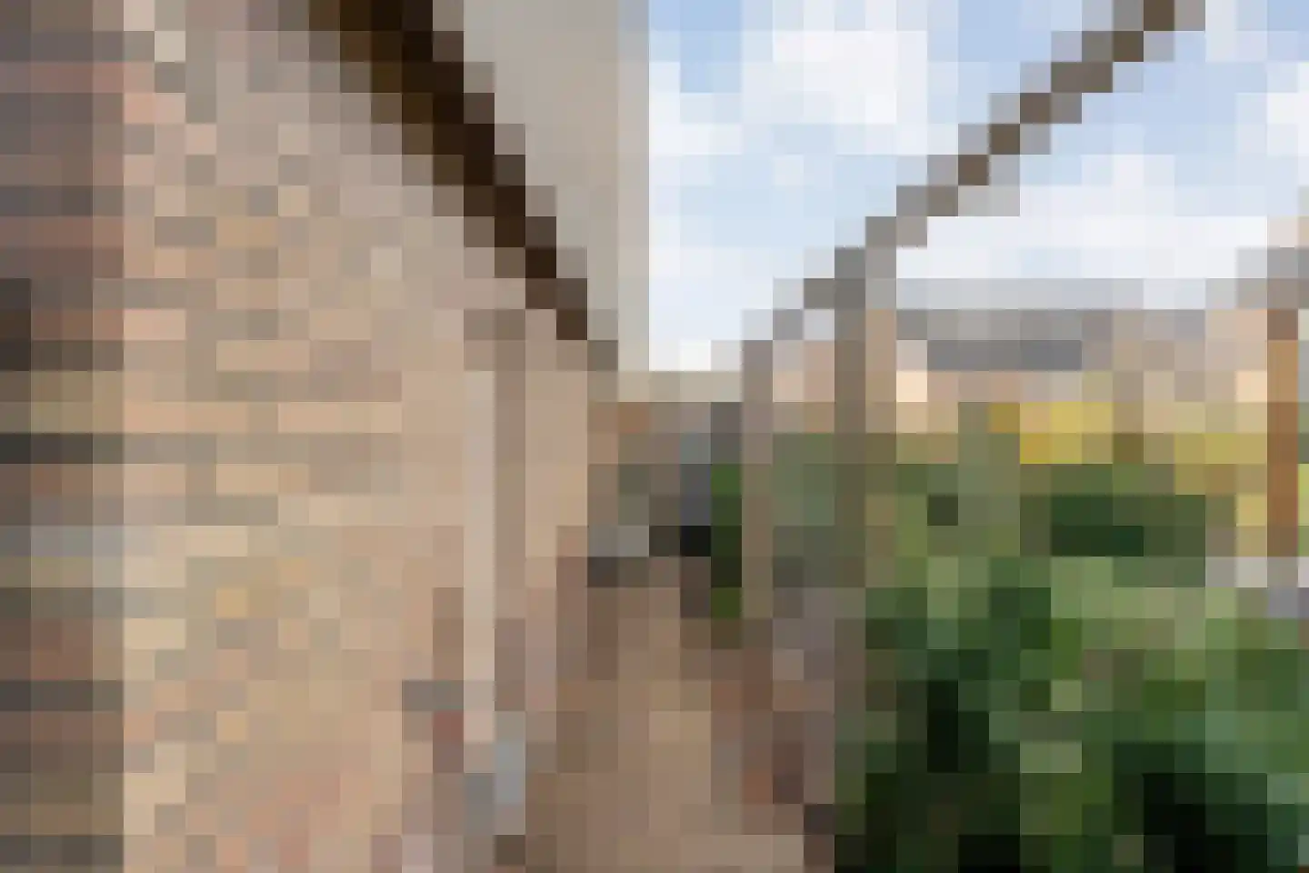 Carboonlaan 37 Nieuw-Schoonebeek thumbnail 56