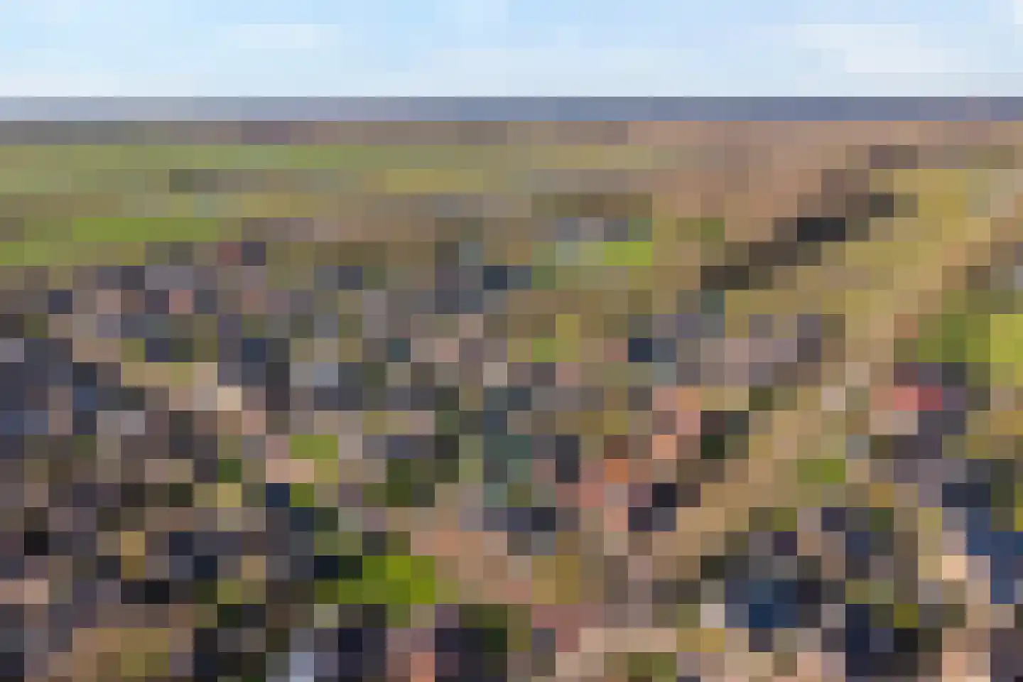 Carboonlaan 37 Nieuw-Schoonebeek thumbnail 6