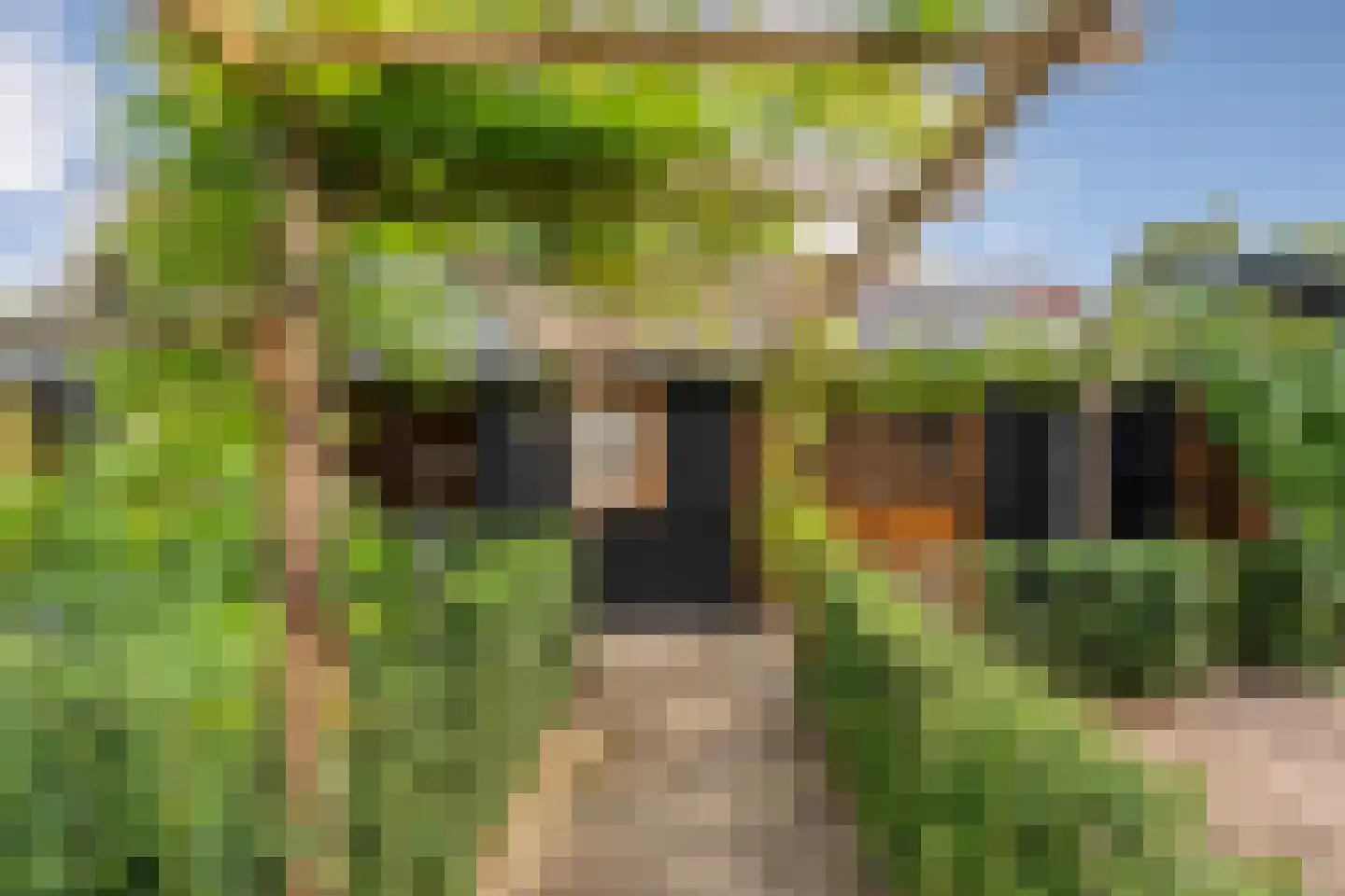 Carboonlaan 37 Nieuw-Schoonebeek thumbnail 6