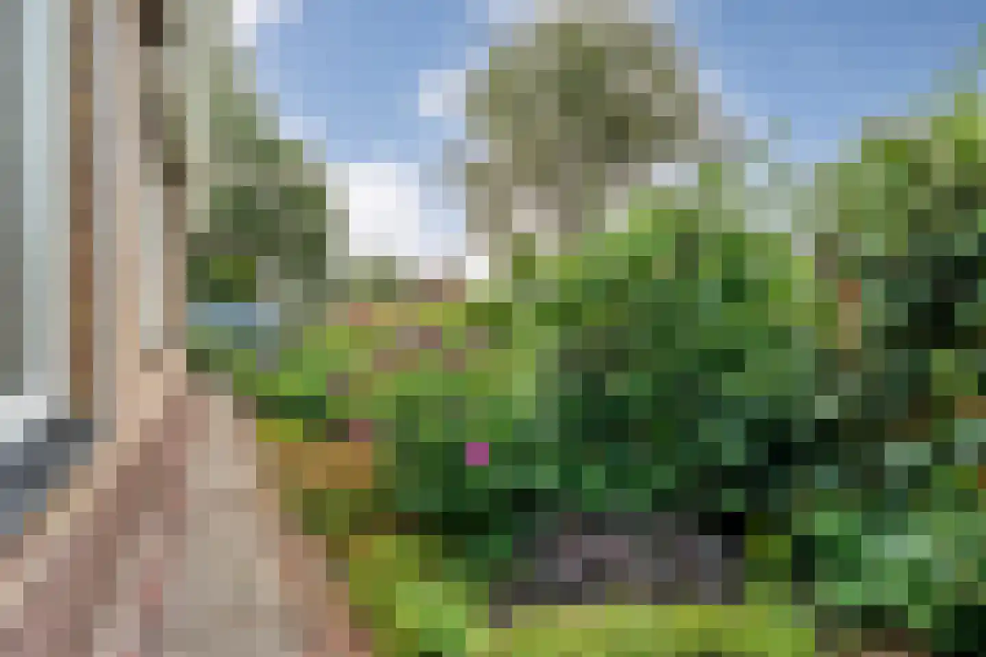 Carboonlaan 37 Nieuw-Schoonebeek thumbnail 64