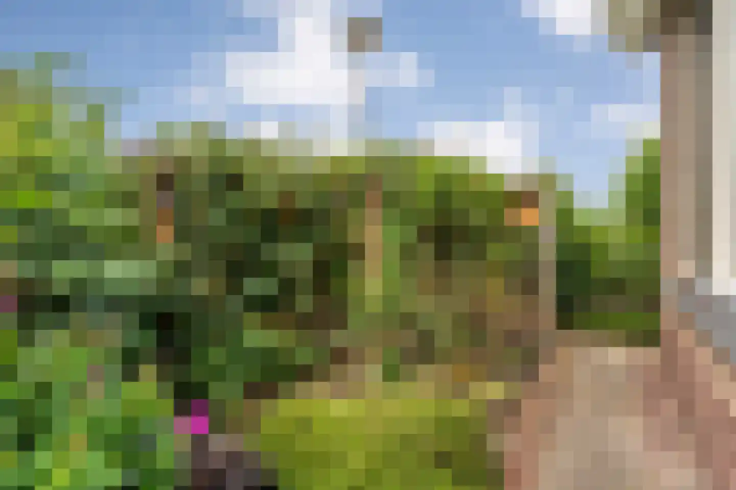 Carboonlaan 37 Nieuw-Schoonebeek thumbnail 65