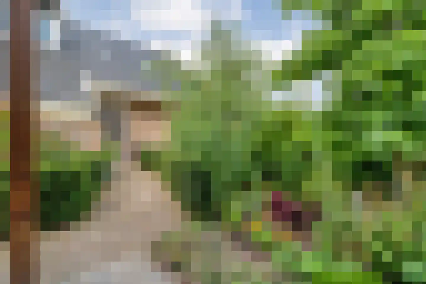 Carboonlaan 37 Nieuw-Schoonebeek thumbnail 66