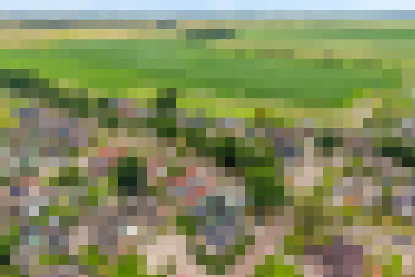 Carboonlaan 37 Nieuw-Schoonebeek thumbnail 7