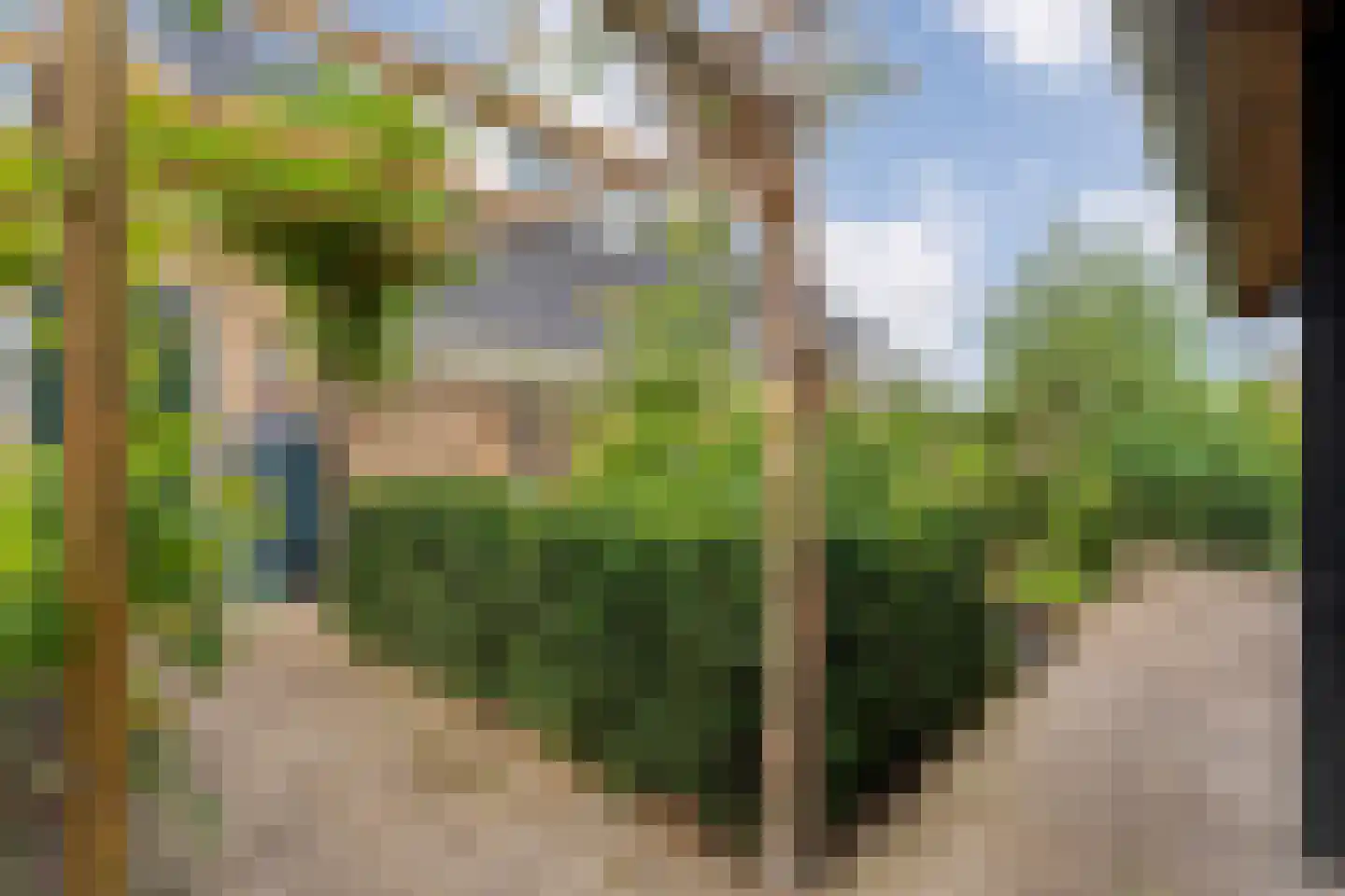 Carboonlaan 37 Nieuw-Schoonebeek thumbnail 73