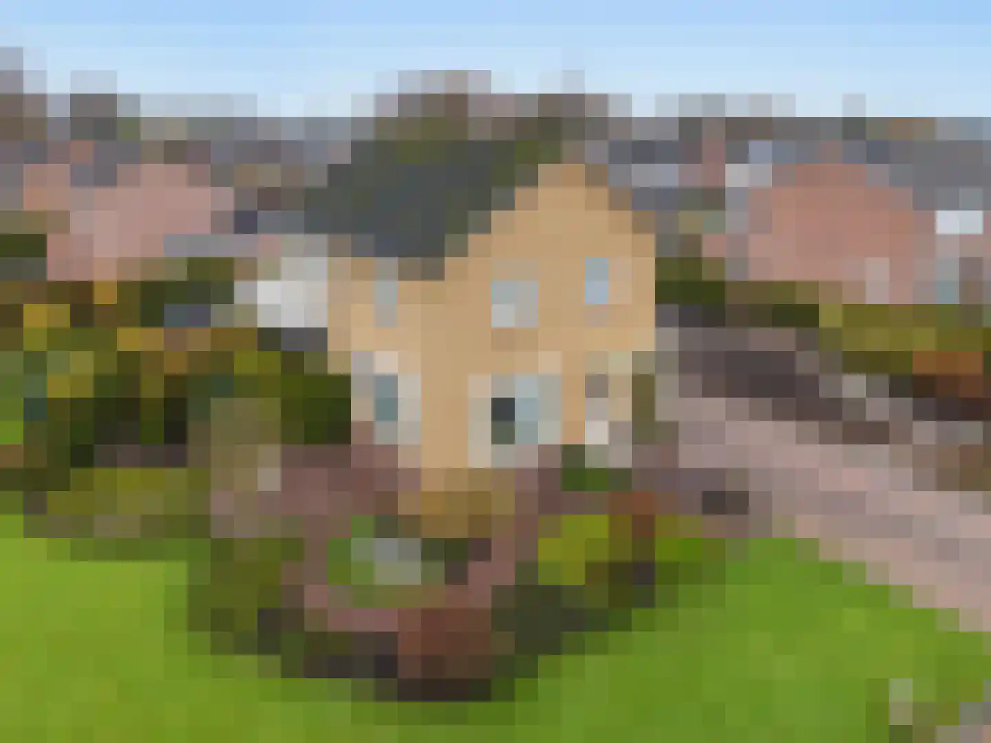 Carboonlaan 6 en Nieuw-Schoonebeek