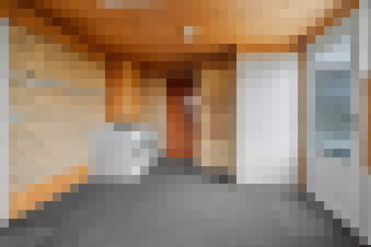 Carboonlaan 6 Nieuw-Schoonebeek thumbnail 18