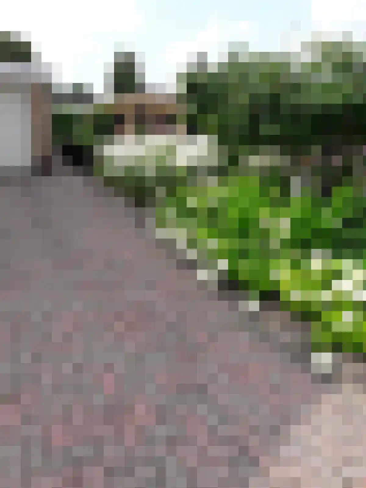 Carboonlaan 6 Nieuw-Schoonebeek thumbnail 41