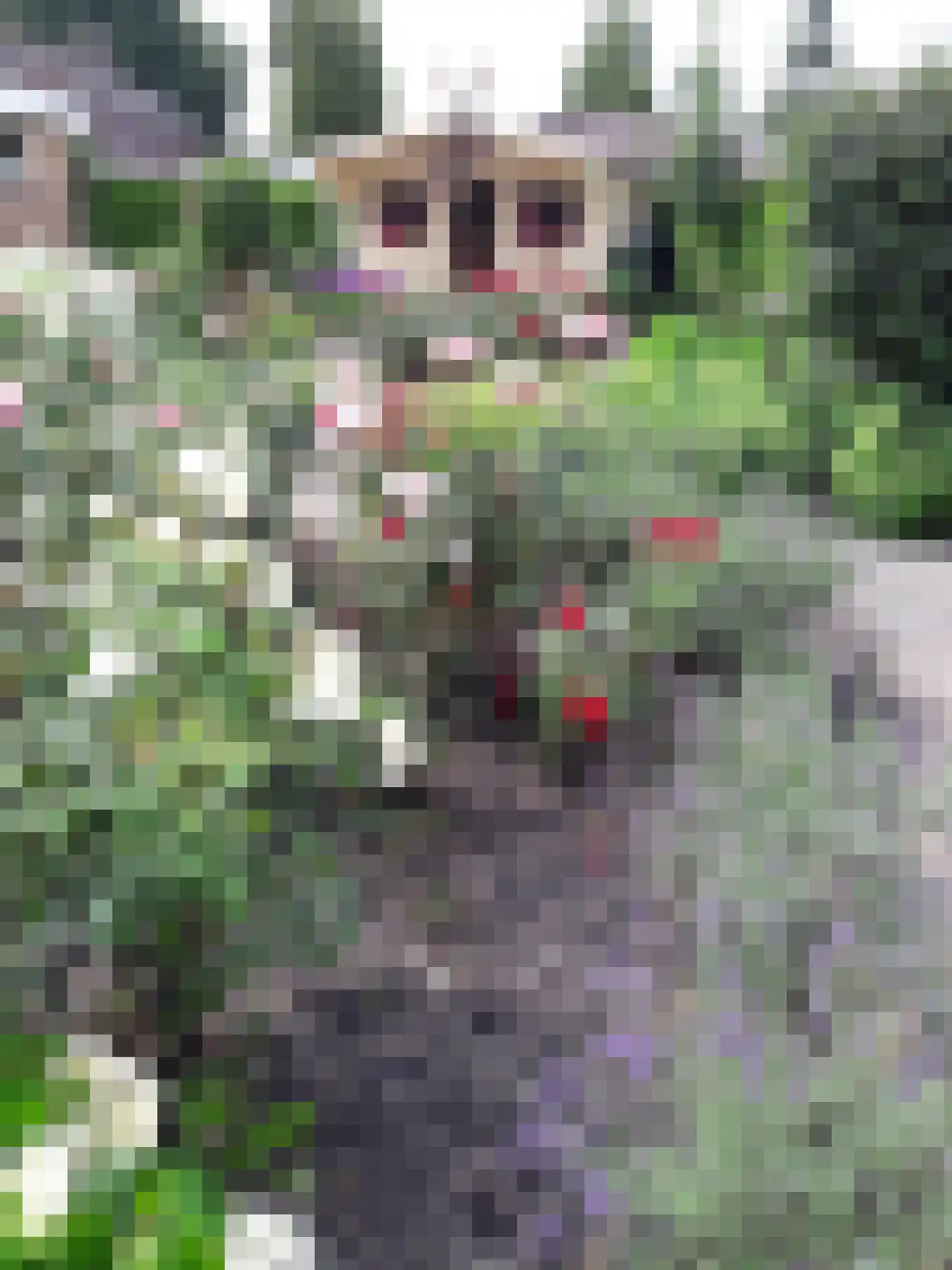 Carboonlaan 6 Nieuw-Schoonebeek thumbnail 42