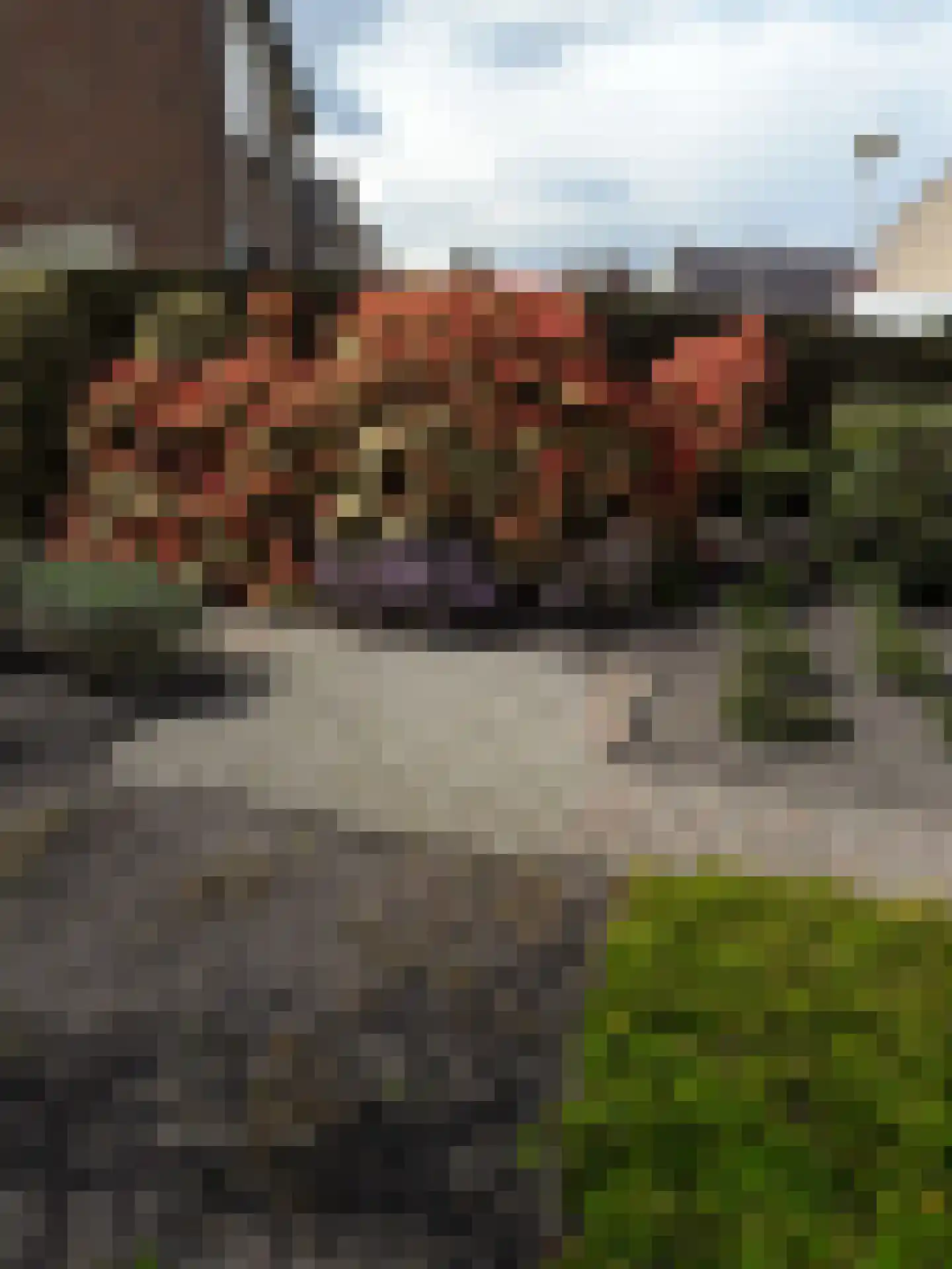 Carboonlaan 6 Nieuw-Schoonebeek thumbnail 43