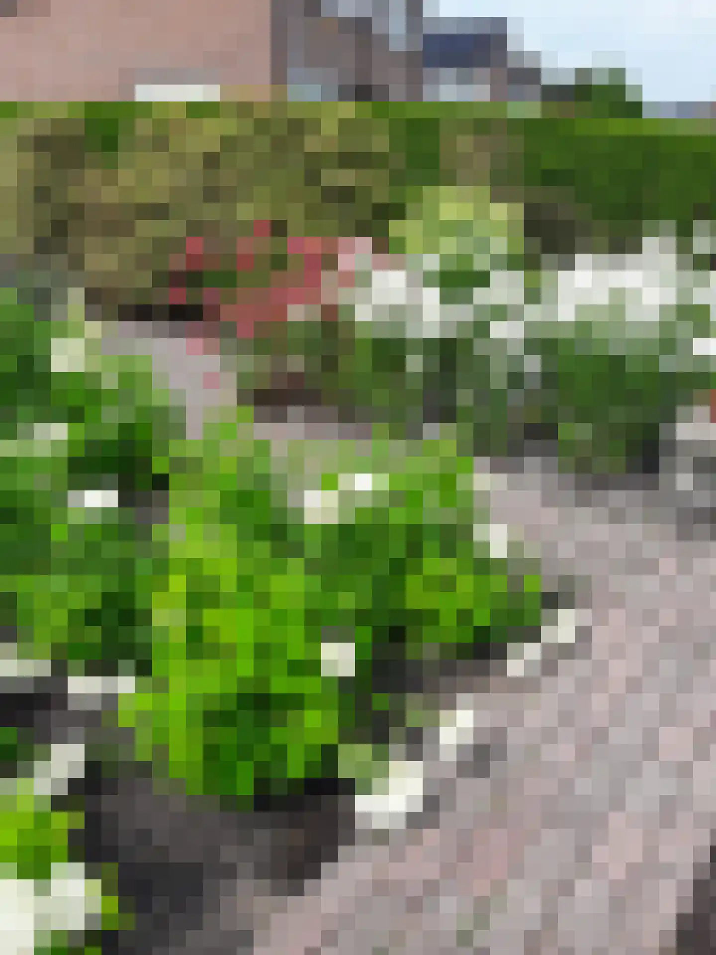 Carboonlaan 6 Nieuw-Schoonebeek thumbnail 44