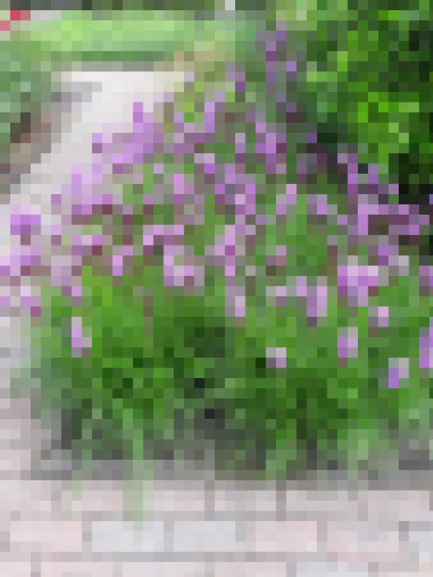 Carboonlaan 6 Nieuw-Schoonebeek thumbnail 45
