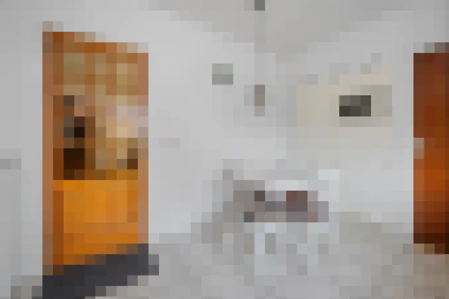 Carboonlaan 6 Nieuw-Schoonebeek thumbnail 8