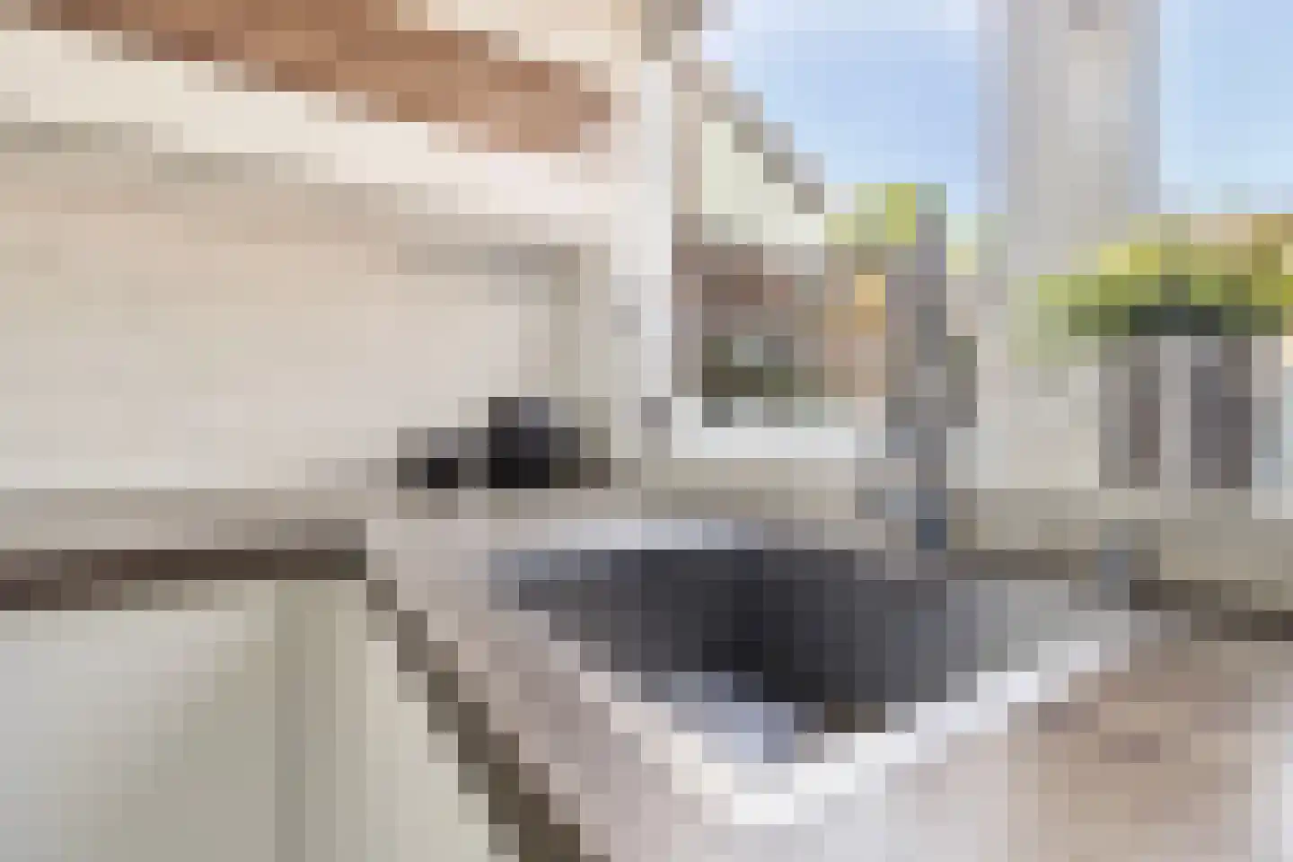 Carboonstraat 73 Heerlen thumbnail 9