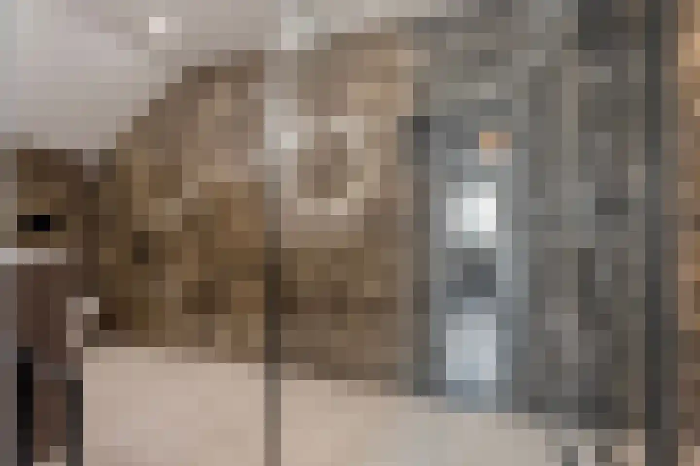 Cardiffstraat 4 Hengelo thumbnail 43