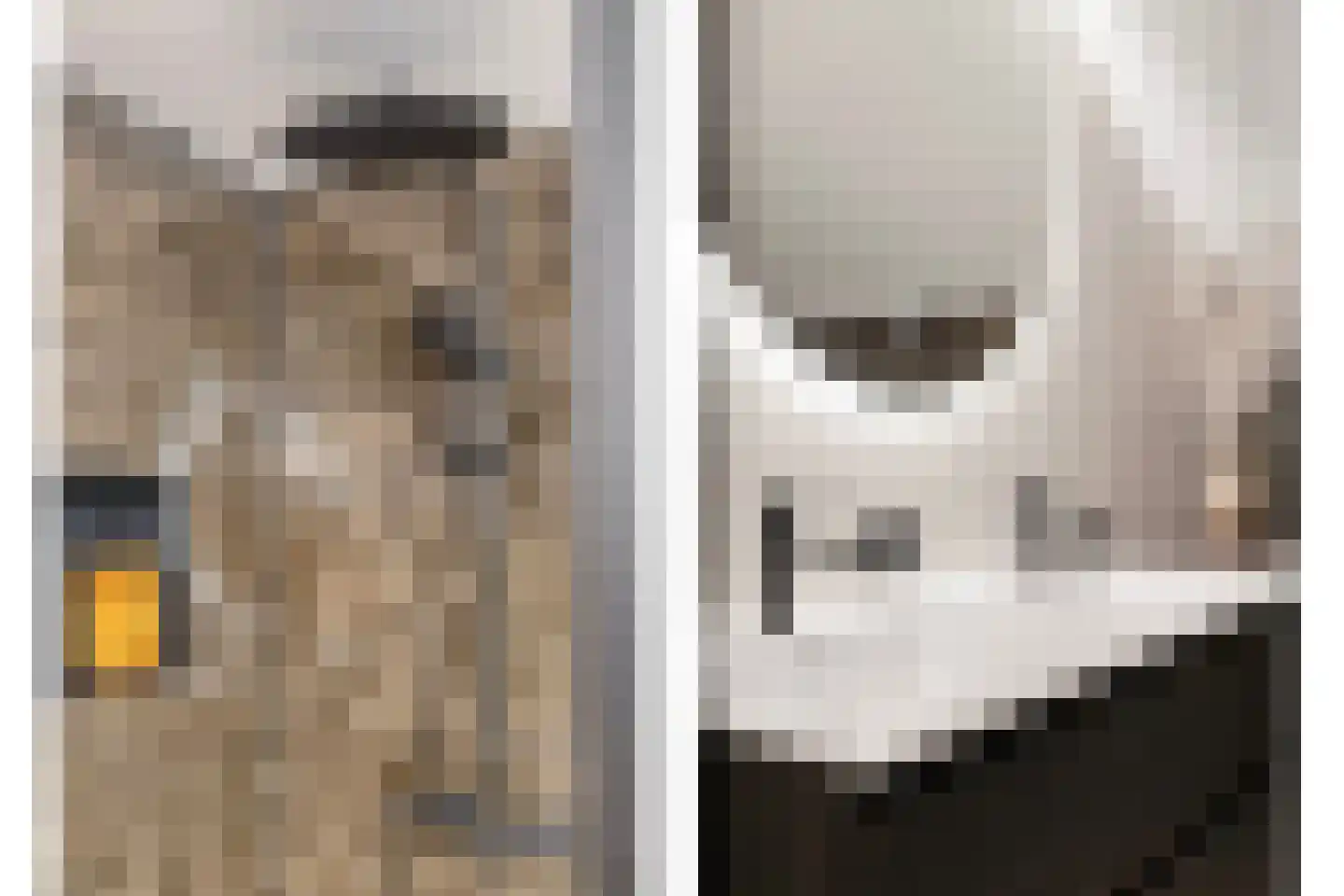 Cardiffstraat 4 Hengelo thumbnail 45