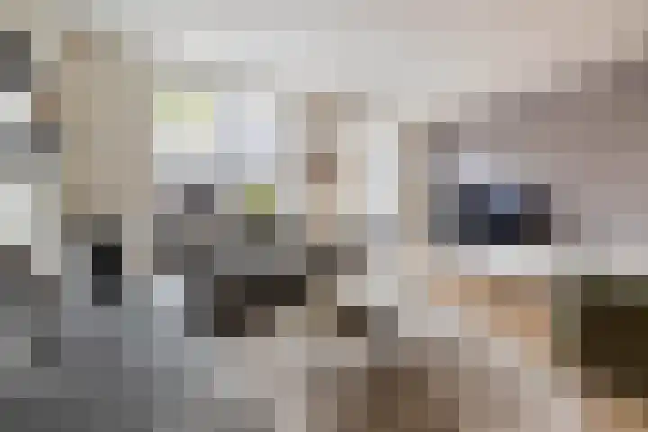 Cardinaalstraat 20 Almelo thumbnail 7