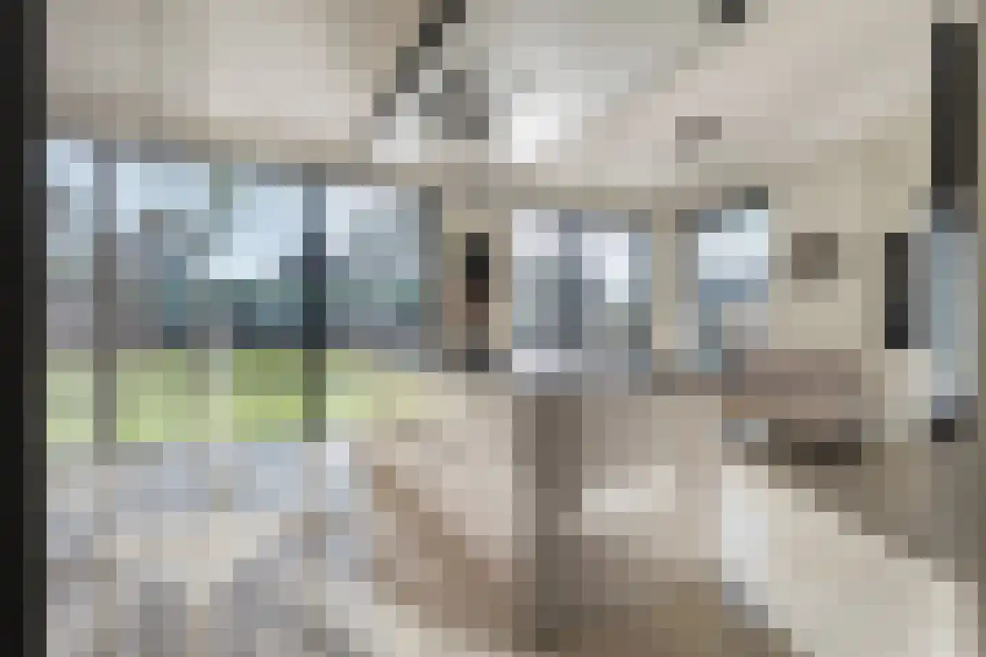 Cardinaalstraat 6 Almelo thumbnail 14