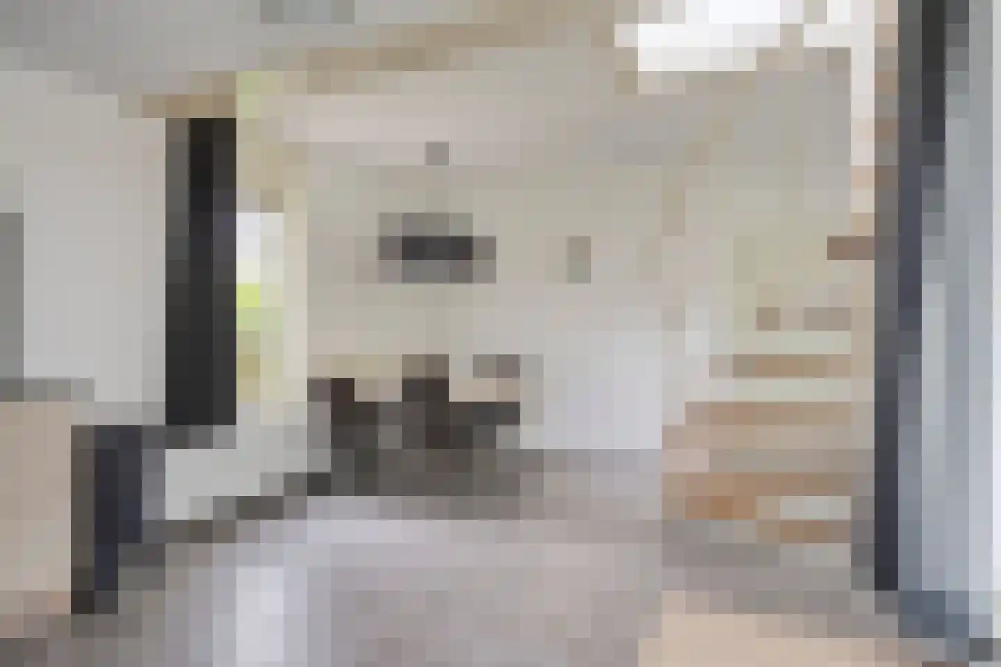 Cardium 15 Kamperland thumbnail 10