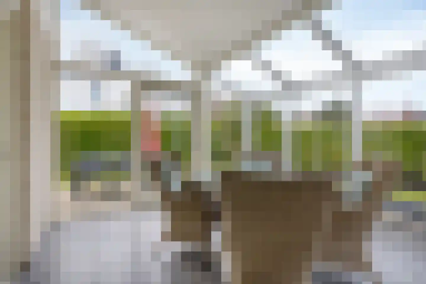 Cardium 15 Kamperland thumbnail 11