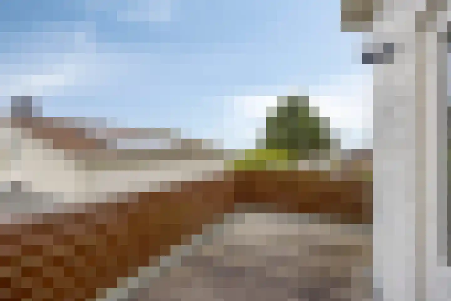 Cardium 15 Kamperland thumbnail 22