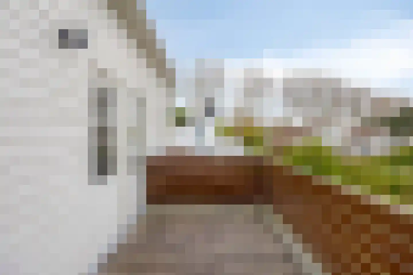 Cardium 15 Kamperland thumbnail 23