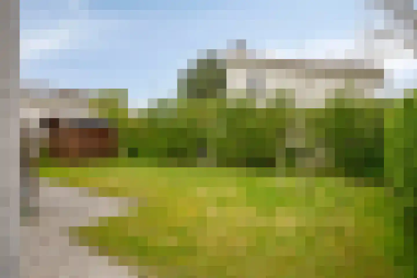 Cardium 15 Kamperland thumbnail 25