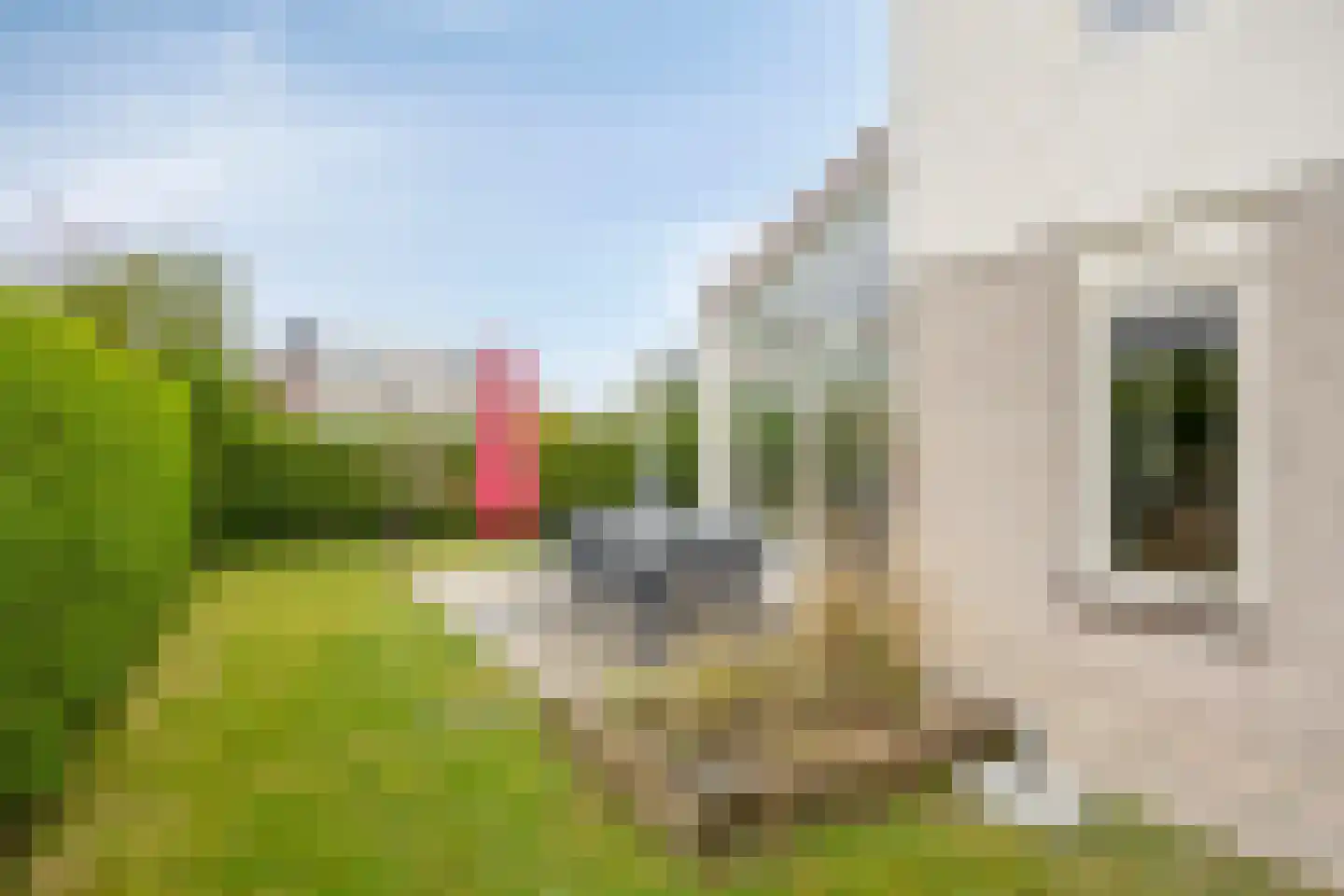 Cardium 15 Kamperland thumbnail 30