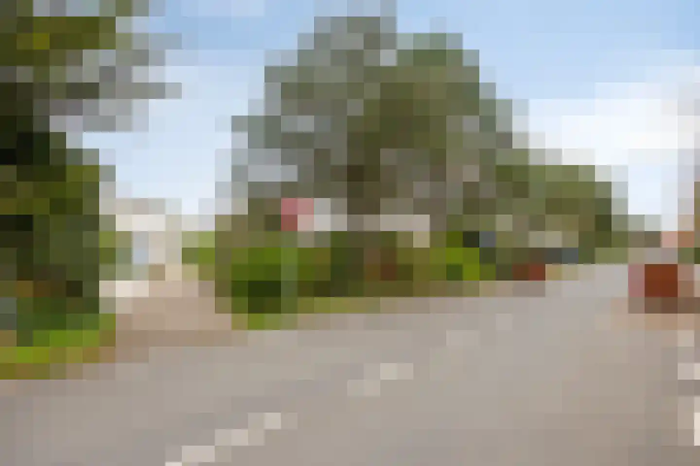 Cardium 15 Kamperland thumbnail 31