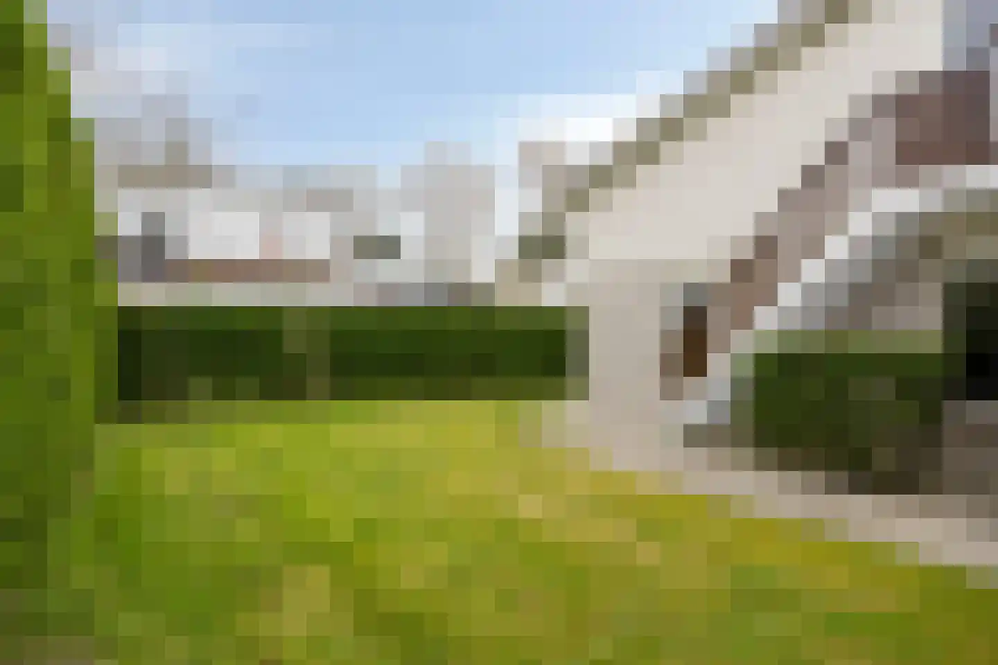 Cardium 15 Kamperland thumbnail 4