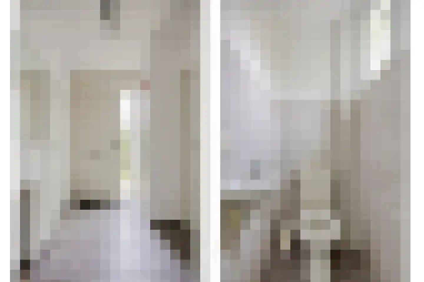 Cardium 15 Kamperland thumbnail 7