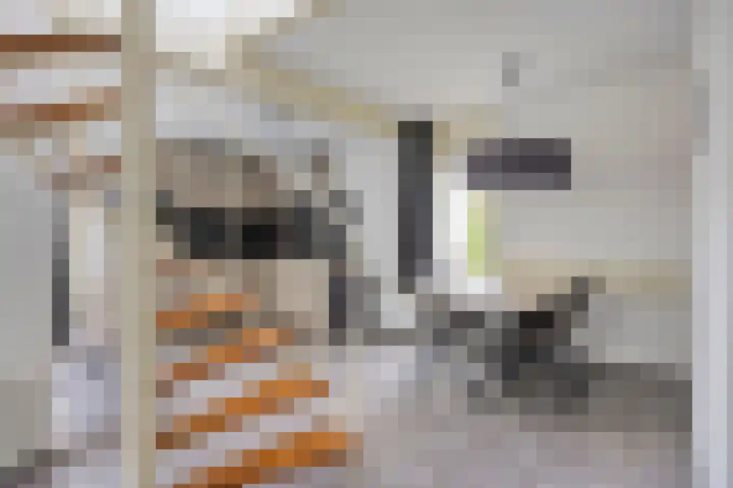 Cardium 15 Kamperland thumbnail 8
