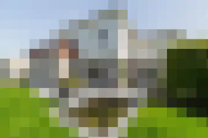 Cardium 25 Kamperland