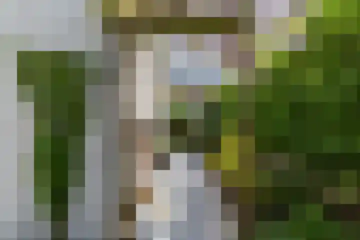 Cardium 25 Kamperland thumbnail 11