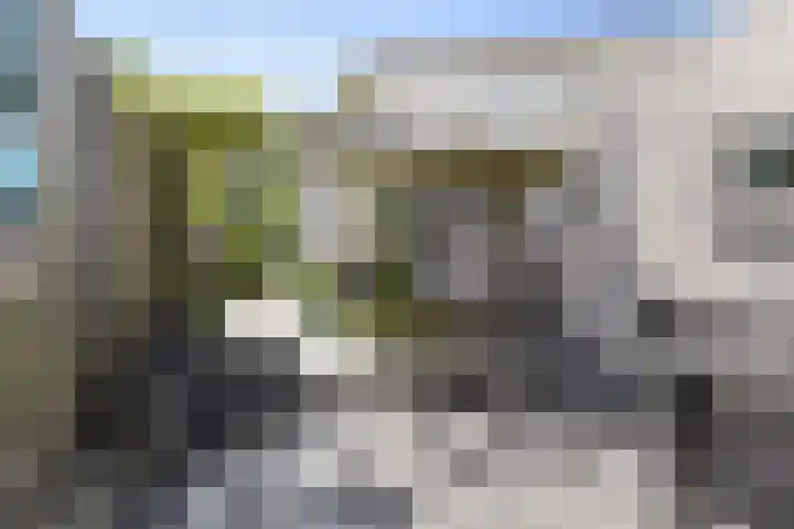 Cardium 25 Kamperland thumbnail 15