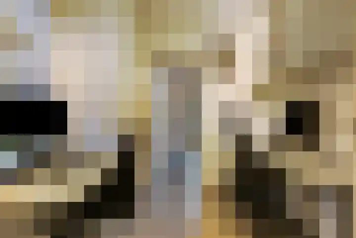 Cardium 25 Kamperland thumbnail 37