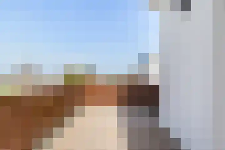 Cardium 25 Kamperland thumbnail 57