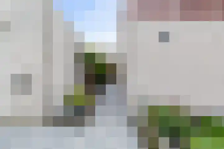 Cardium 25 Kamperland thumbnail 64
