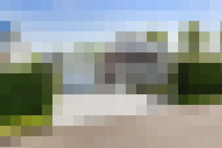 Cardium 25 Kamperland thumbnail 65