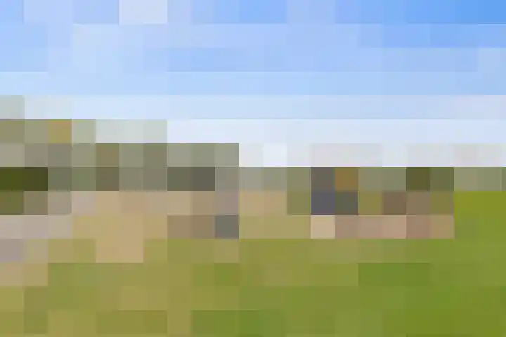 Cardium 25 Kamperland thumbnail 66