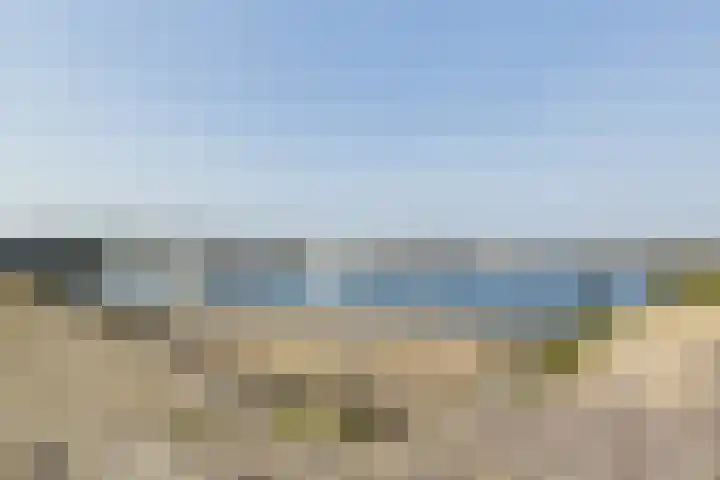 Cardium 25 Kamperland thumbnail 67