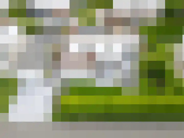 Cardium 25 Kamperland thumbnail 69