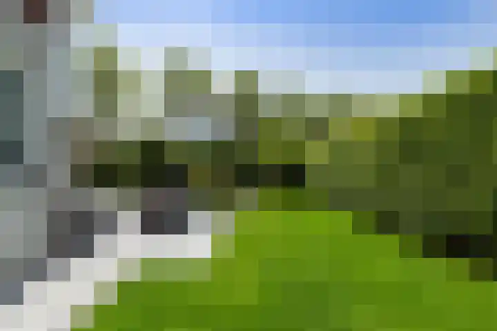 Cardium 25 Kamperland thumbnail 7