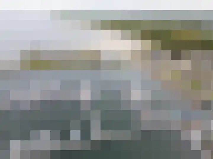 Cardium 25 Kamperland thumbnail 73