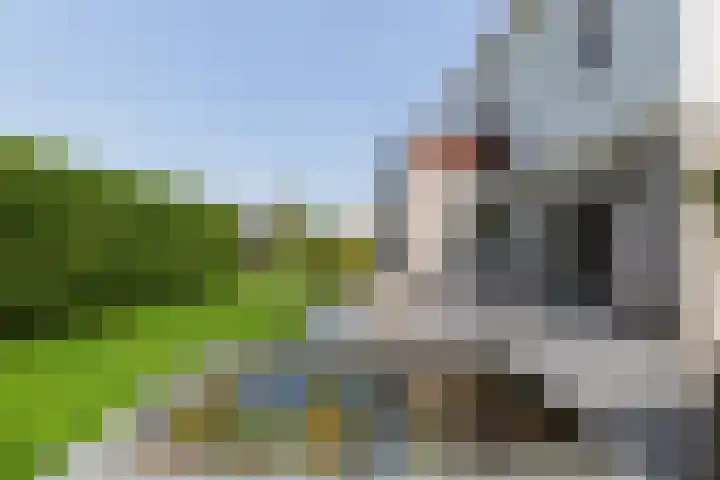 Cardium 25 Kamperland thumbnail 8